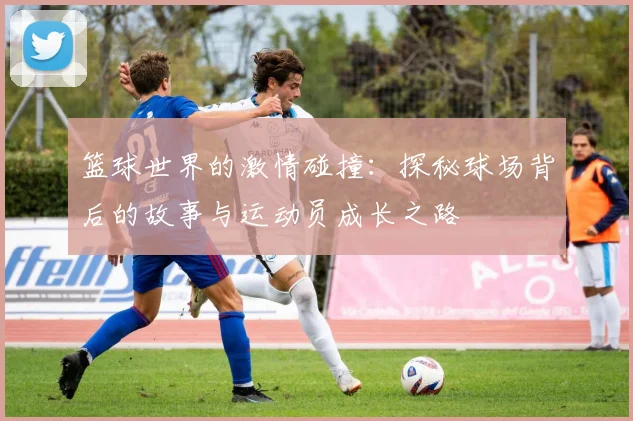 篮球世界的激情碰撞：探秘球场背后的故事与运动员成长之路