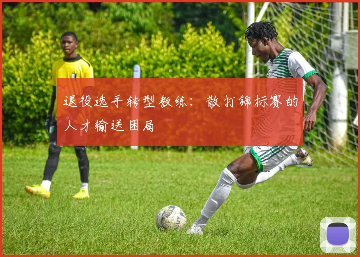 退役选手转型教练：散打锦标赛的人才输送困局