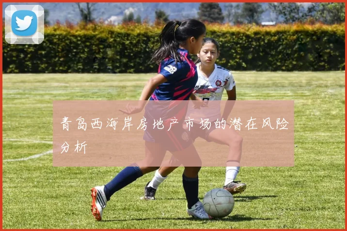 青岛西海岸房地产市场的潜在风险分析
